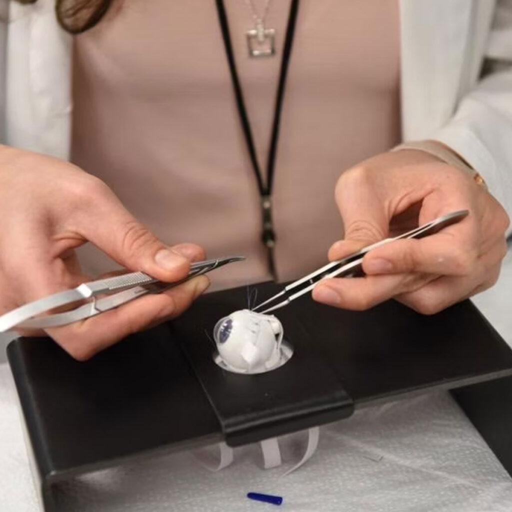 Student practicing a procedure on a prosthetic eye